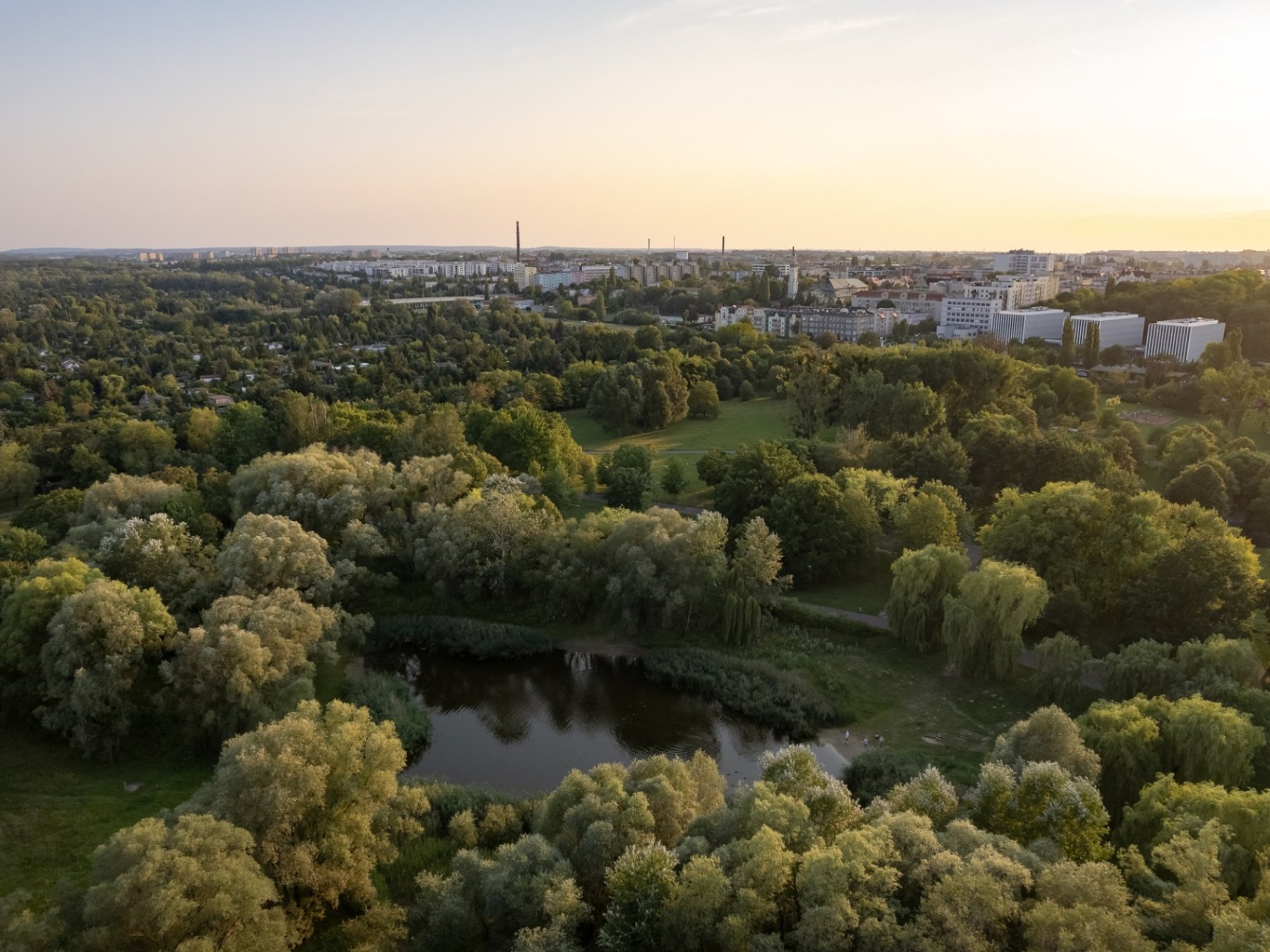 /upload/content/gallery/976/dji-0649-small.jpg