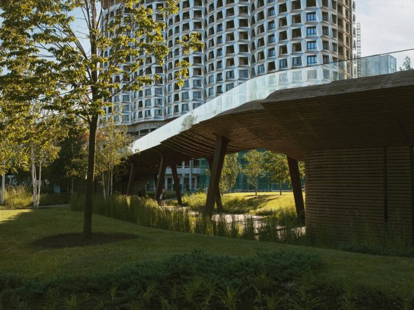 Zielona przestrzeń wokół osiedla - dlaczego liczy się sadzenie drzew?